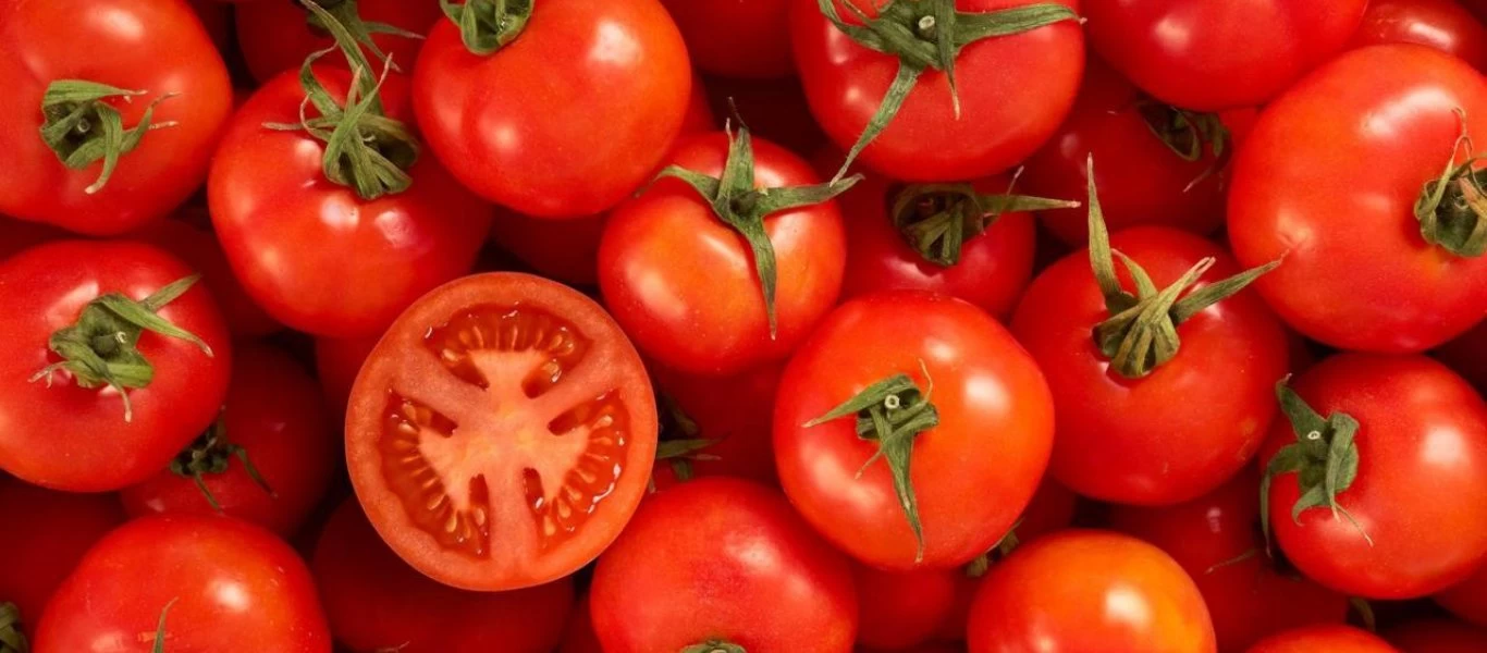 Δείτε που πρέπει να αποθηκεύετε τις ντομάτες ανάλογα με το πόσο ώριμες είναι